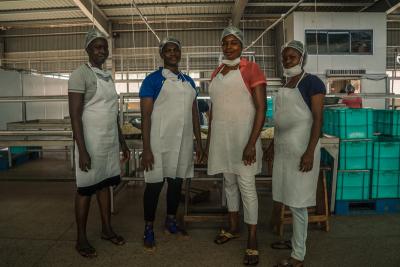 Fabriksarbejdere i Ghana