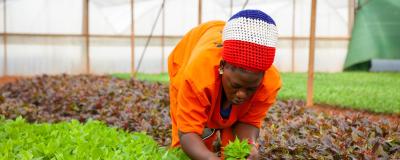 ex & Samfund arbejder blandt andet for att styrke vilkårene får kvinder i den etiopiske blomsterindustri