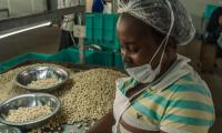 PÅ en cashewfabrik i Ghana arbejder vi sammen lokale partnere om at forbedre sundheden