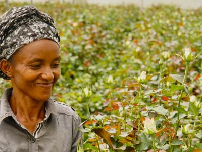 Sex & Samfund arbejder med rettigheder og sundhed i Etiopiens blomsterindustri